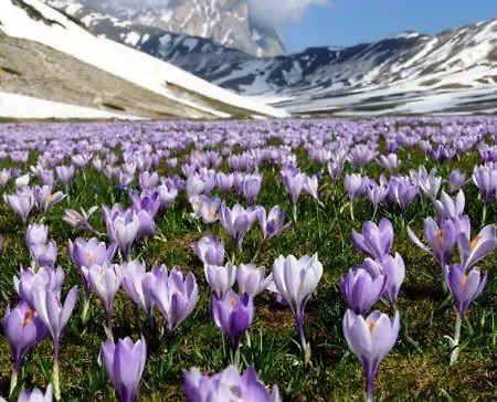 Il Pagliarello Di San Giovanni Villa San Demetrio ne' Vestini