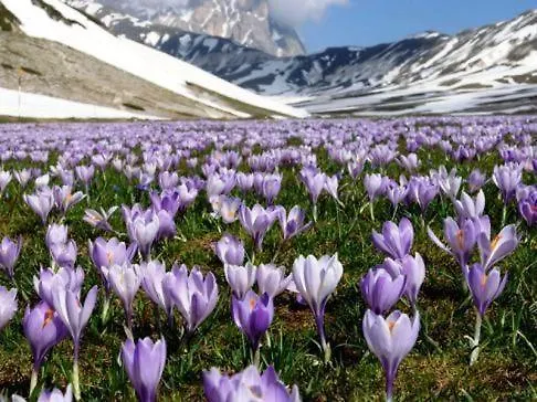 Il Pagliarello Di San Giovanni Βίλα San Demetrio ne' Vestini